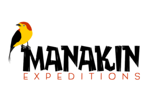 Manakin Expeditions. Birding in peru