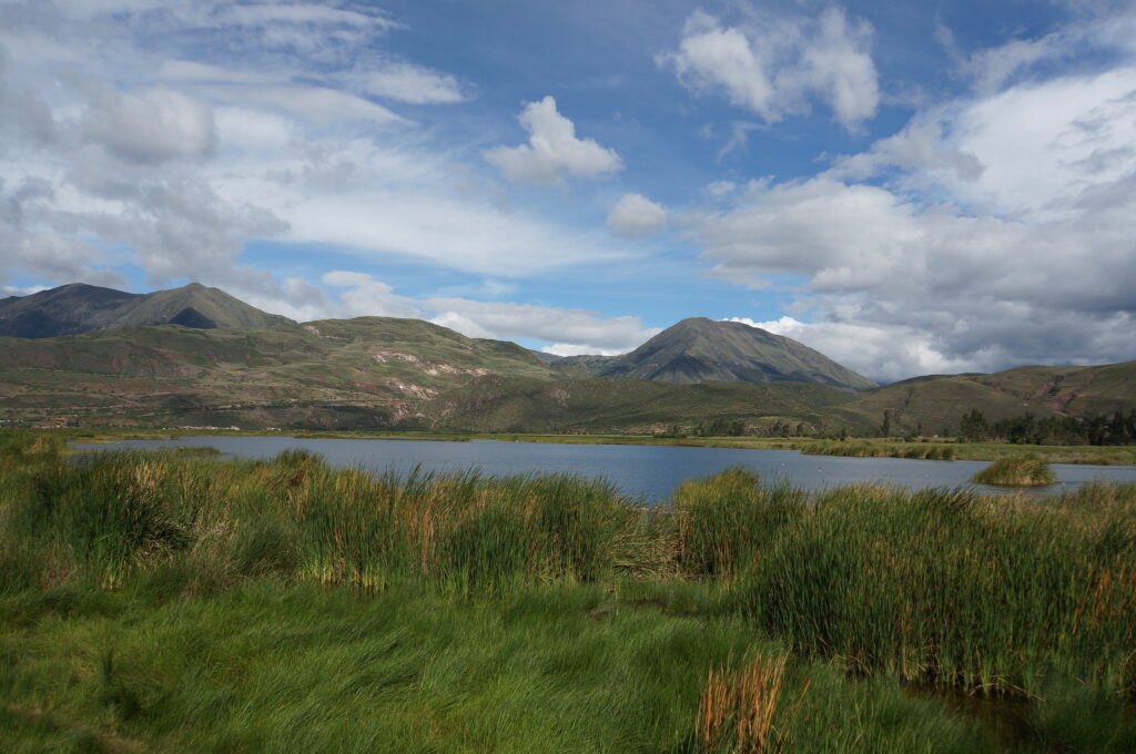 Birding at Huacarpay Lake