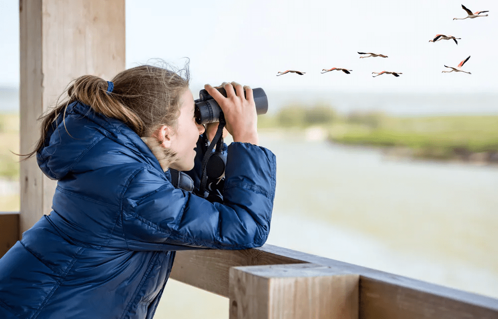 Birding at Huacarpay Lake