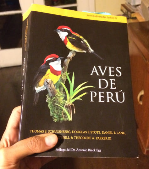 Birds of peru