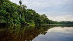 tambopata river