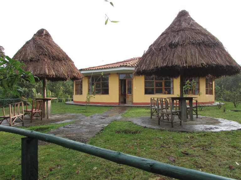 Owlet Lodge 1