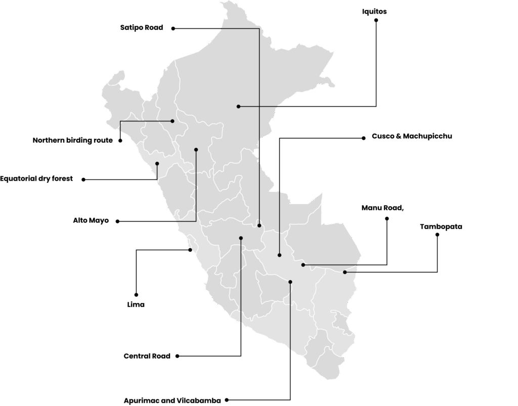 birdwatching in Peru