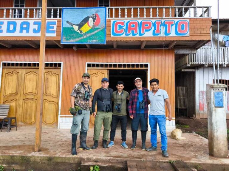 Capito Lodge - Plataforma