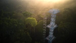 Canopy Tower Tambopata