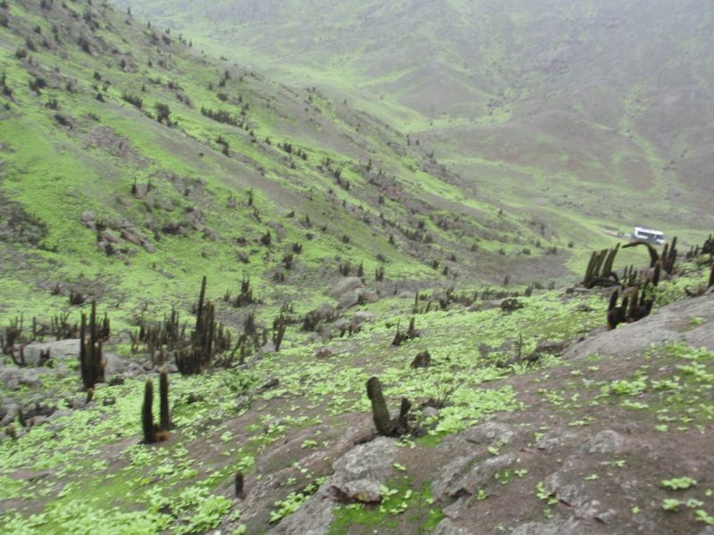 Lomas de Asia